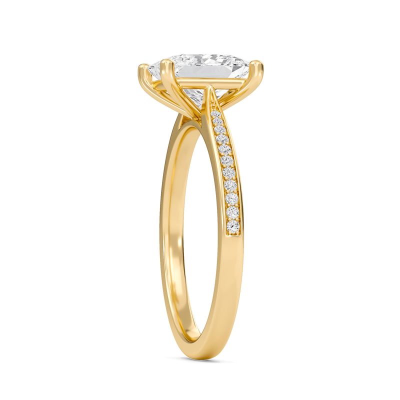 Princess Cathedral Pave Adorned Engagement Ring
