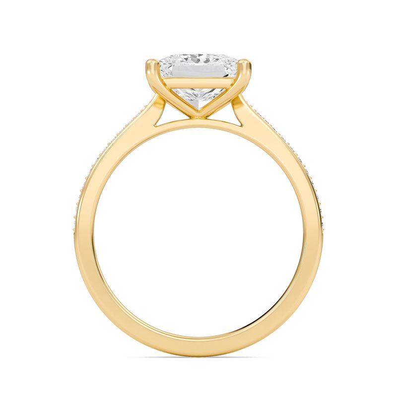 Princess Cathedral Pave Adorned Engagement Ring