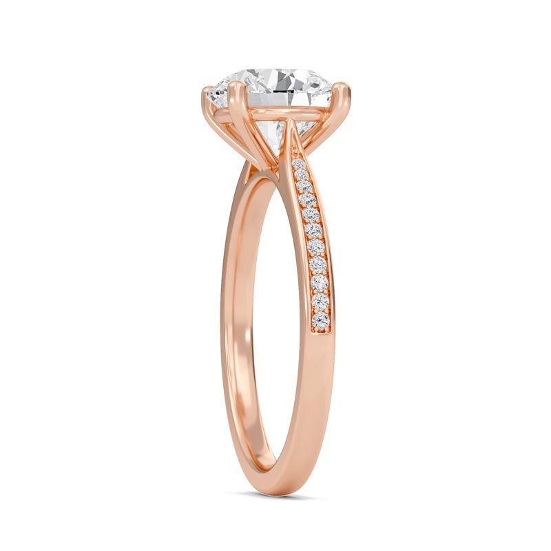 Round Cathedral Pave Adorned Engagement Ring
