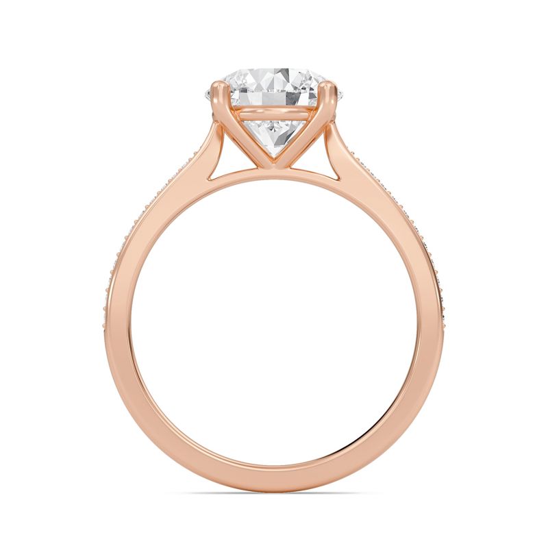 Round Cathedral Pave Adorned Engagement Ring