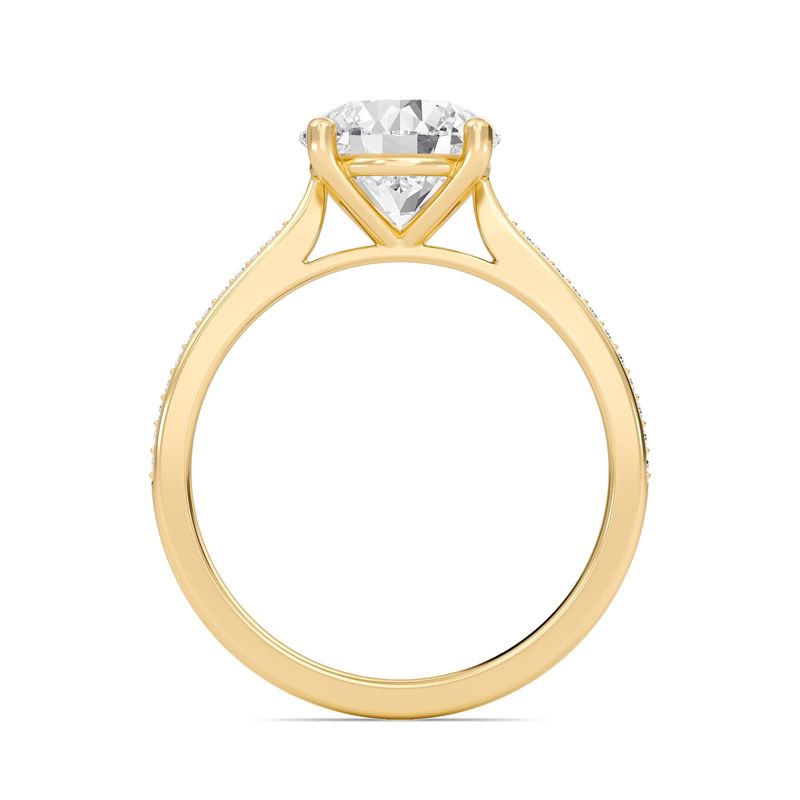 Round Cathedral Pave Adorned Engagement Ring