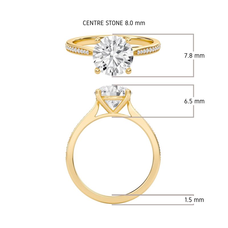 Round Cathedral Pave Adorned Engagement Ring